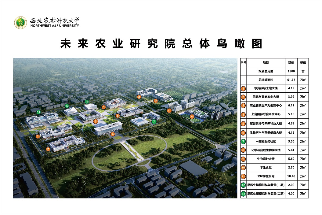 整体鸟瞰图.JPG