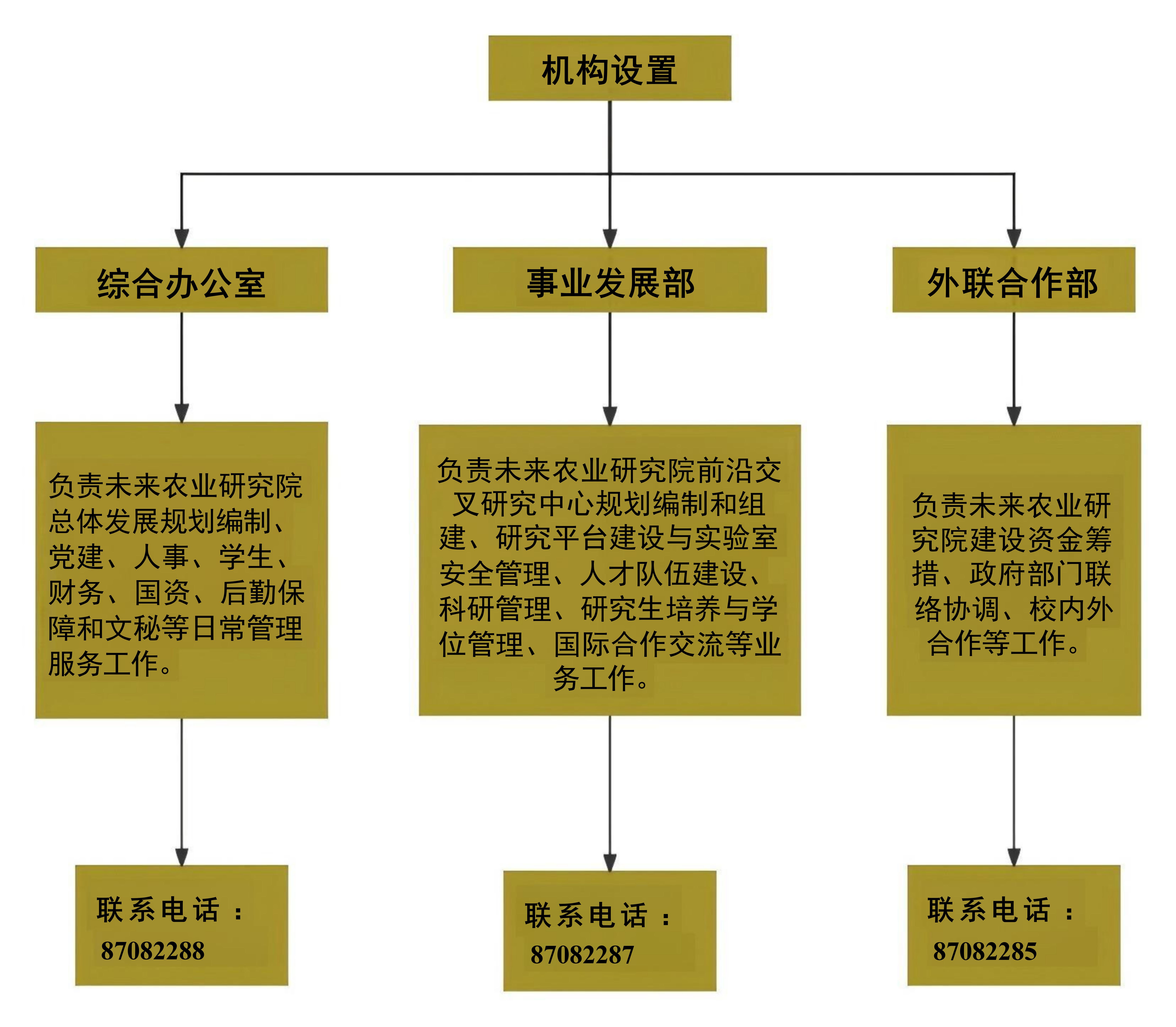 机构设置_01.jpg
