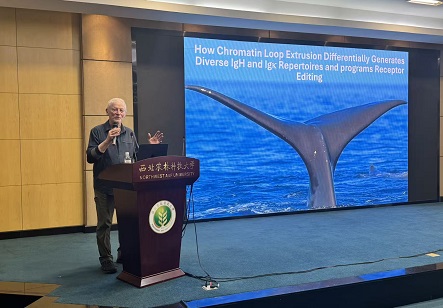 未来农业前沿交叉系列学术报告：三维基因组学专题成功举办